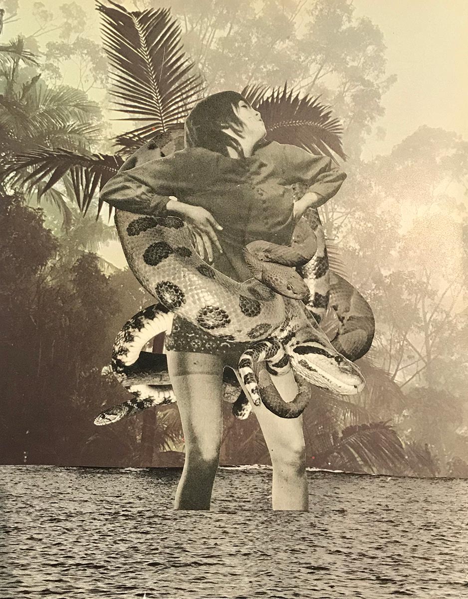 Javier Artica, Salvada por los serpientes. 2019, collage sur papier, 22 x 28 cm.
